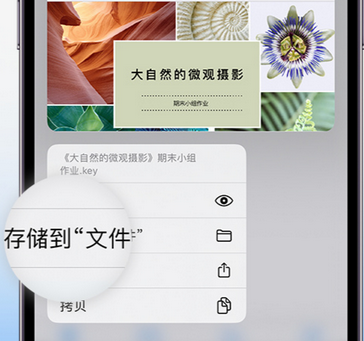 抚顺apple维修中心分享iPhone文件应用中存储和找到下载文件