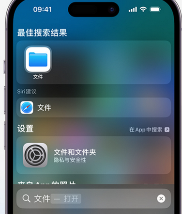 抚顺apple维修中心分享iPhone文件应用中存储和找到下载文件 