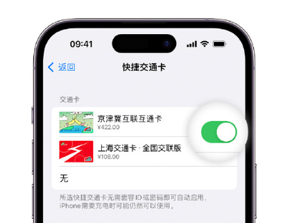 抚顺apple维修点分享iPhone上更换Apple Pay快捷交通卡手绘卡面 