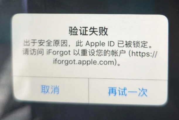 抚顺iPhone维修分享iPhone上正常登录或使用AppleID怎么办 