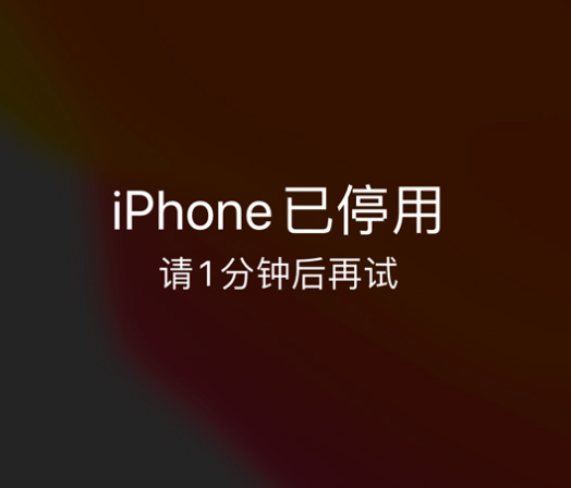 抚顺苹果手机维修分享:iPhone 显示“不可用”或“已停用”怎么办？还能保留数据吗？ 