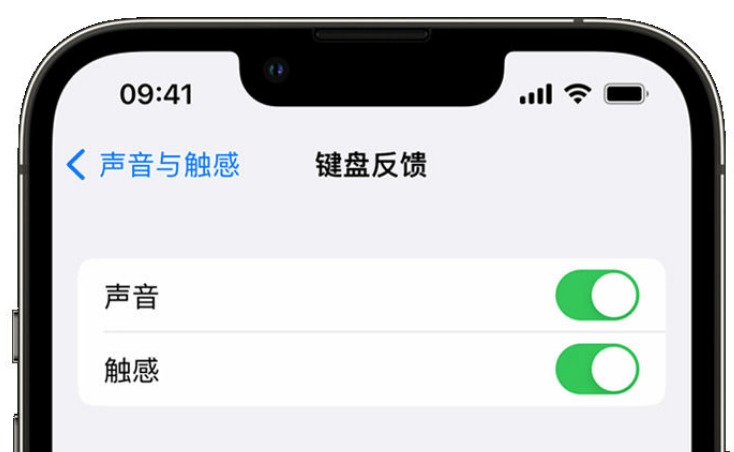 抚顺苹果手机维修分享iPhone 14触感键盘使用方法 