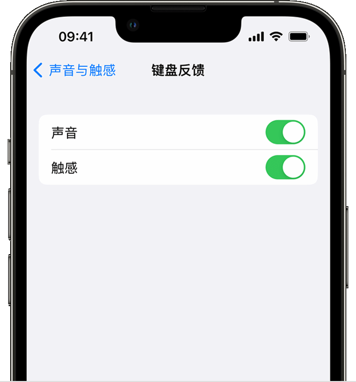 抚顺苹果14维修店分享如何在 iPhone 14 机型中使用触感键盘 