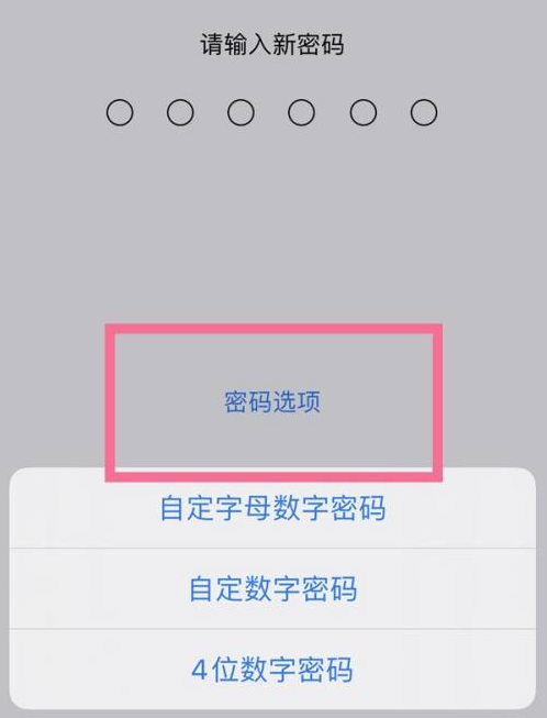 抚顺苹果14维修分享iPhone 14plus设置密码的方法 