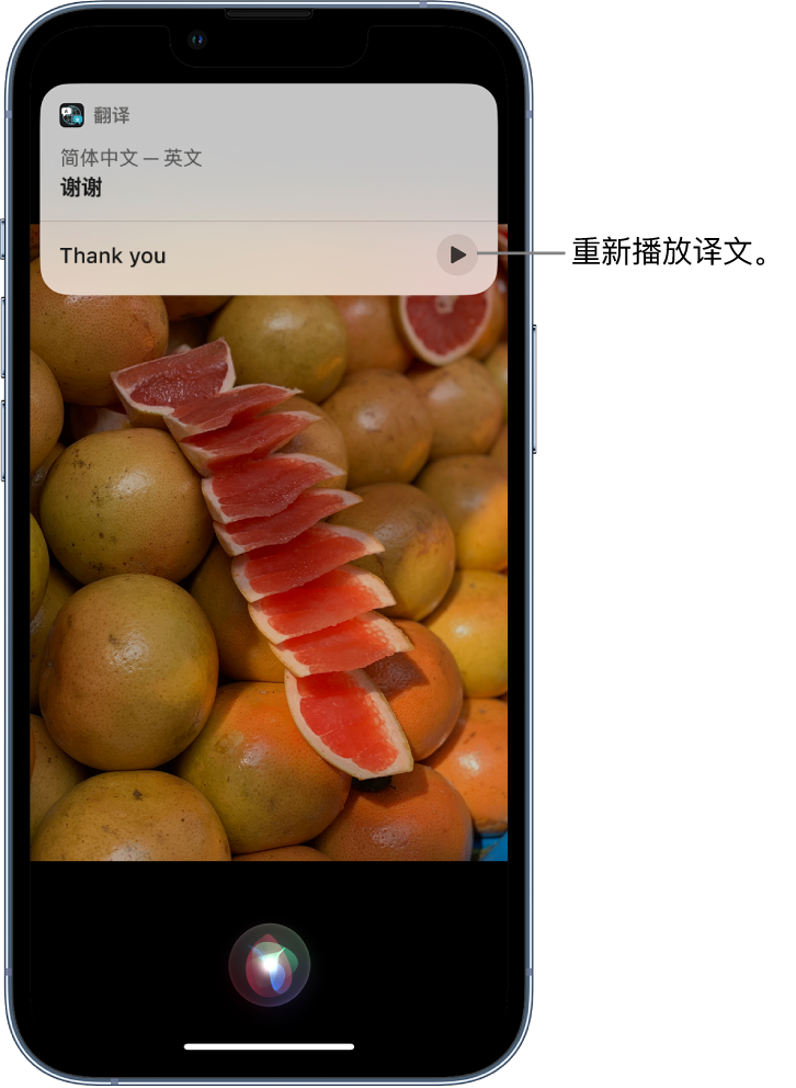 抚顺苹果14维修分享 iPhone 14 机型中使用 Siri：了解 Siri 能帮你做什么 