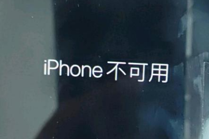 抚顺苹果服务网点分享锁屏界面显示“iPhone 不可用”如何解决 