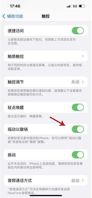 抚顺苹果手机维修分享iPhone手机如何设置摇一摇删除文字 