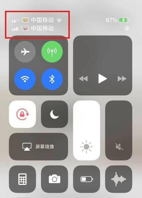 抚顺苹果手机维修分享为 iPhone 12 双卡设置标签 